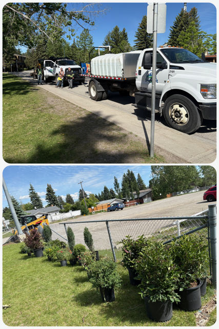 landscaping day 1