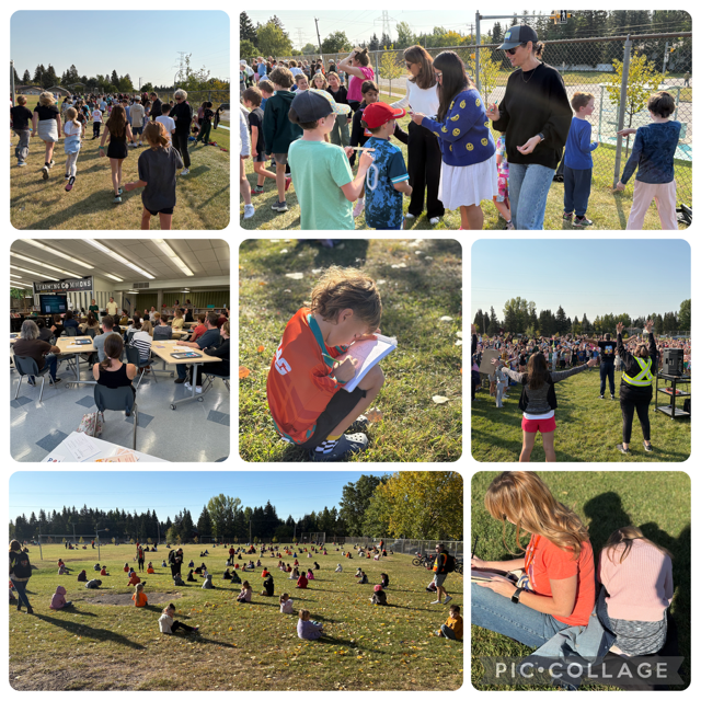 weekly update collage