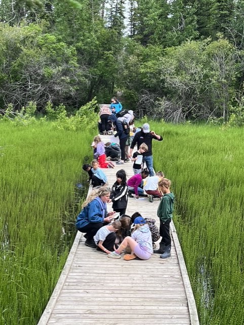 outdoor learning