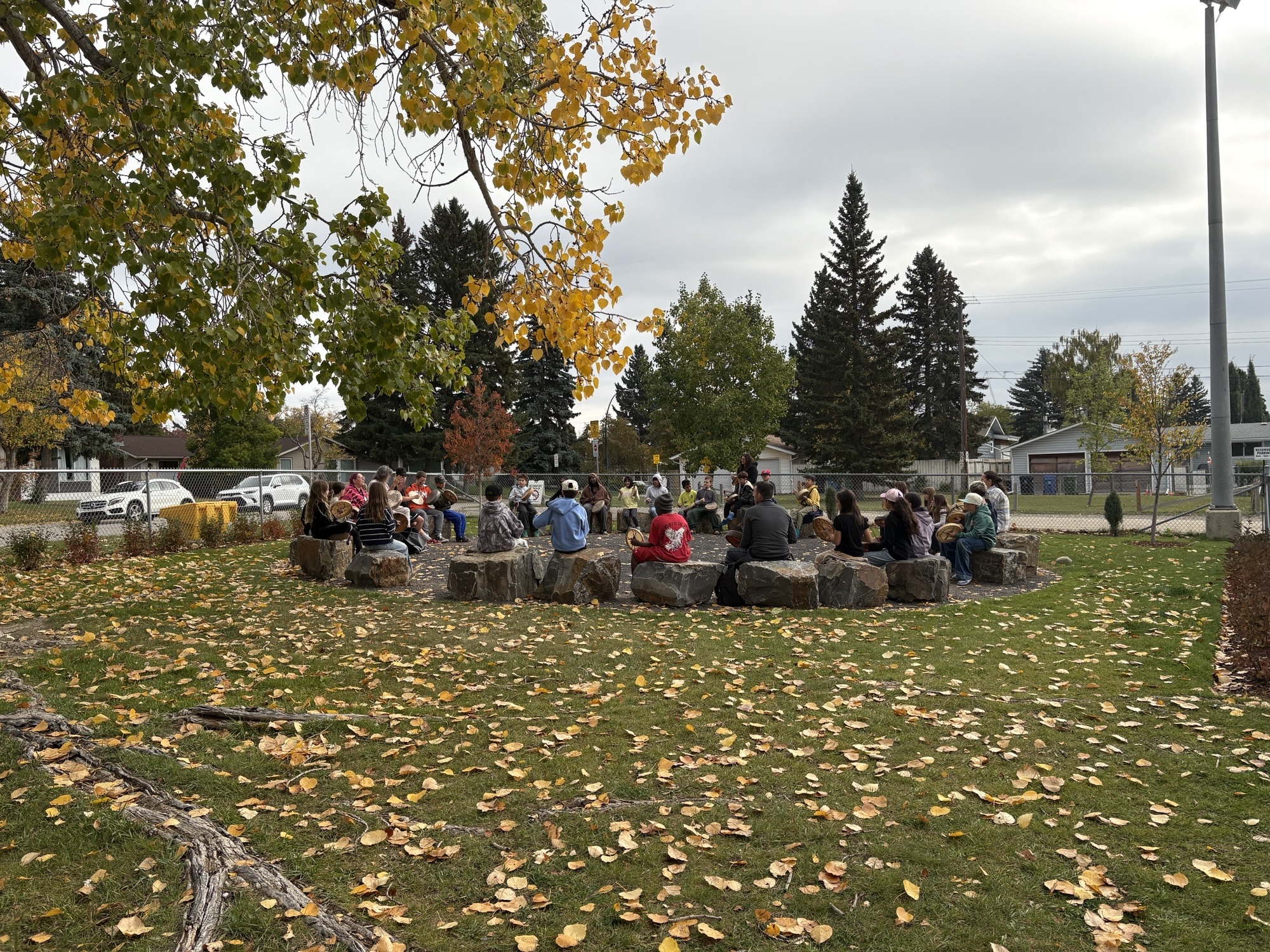 IMG 6761