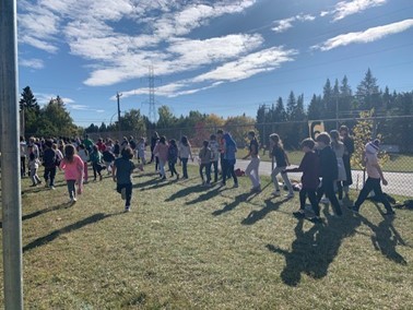 terry fox run